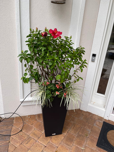 Exterior Planters Design with Advice Consultation