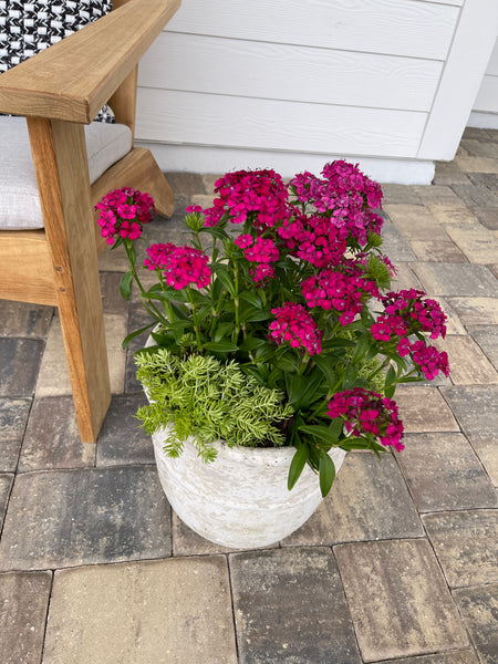Exterior Planters Design with Advice Consultation