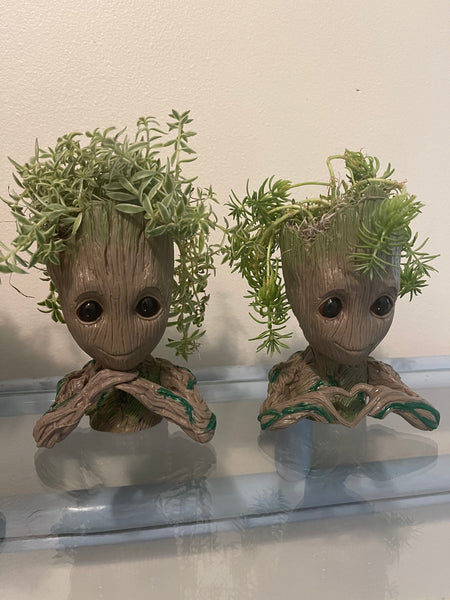 Groot Planters