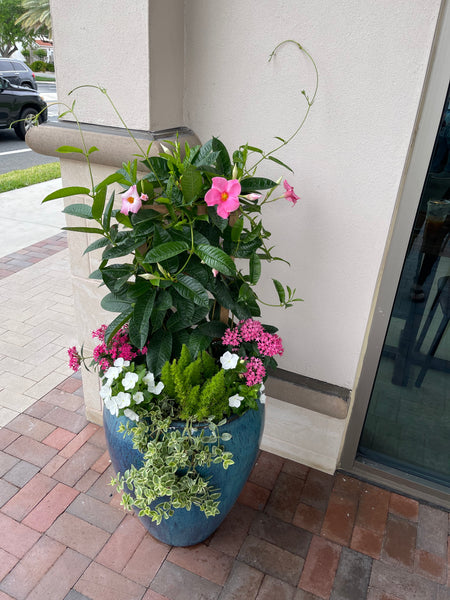 Exterior Planters Design with Advice Consultation