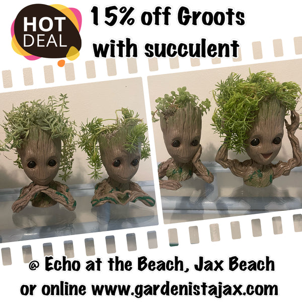 Groot Planters