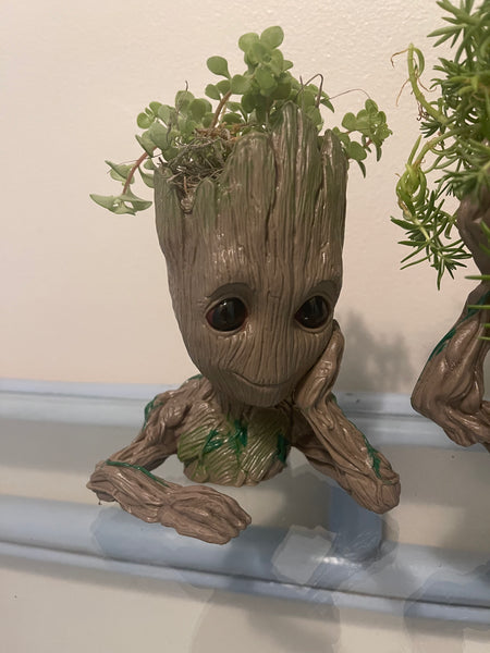 Groot Planters