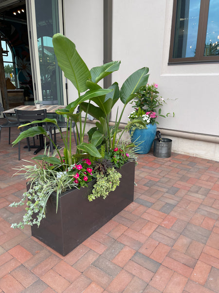 Exterior Planters Design with Advice Consultation