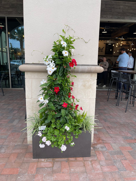 Exterior Planters Design with Advice Consultation