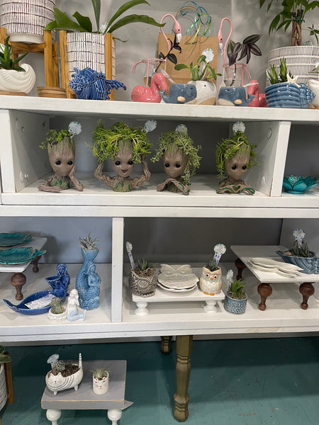 Groot Planters