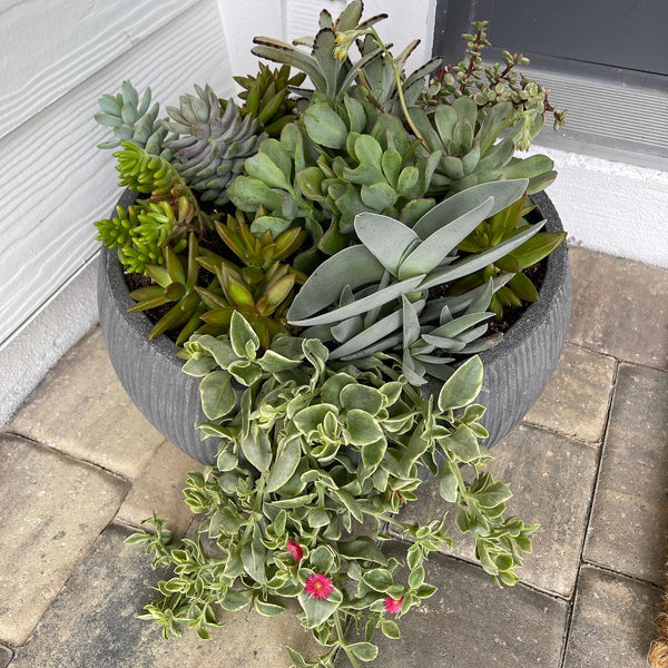 Exterior Planters Design with Advice Consultation