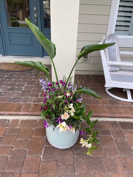 Exterior Planters Design with Advice Consultation