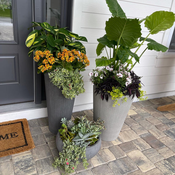 Exterior Planters Design with Advice Consultation