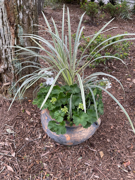 Exterior Planters Design with Advice Consultation