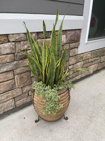 Exterior Planters Design with Advice Consultation
