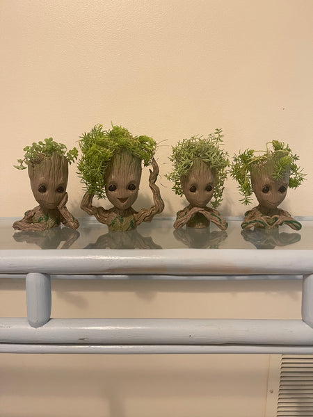 Groot Planters