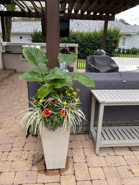 Exterior Planters Design with Advice Consultation
