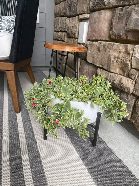 Exterior Planters Design with Advice Consultation