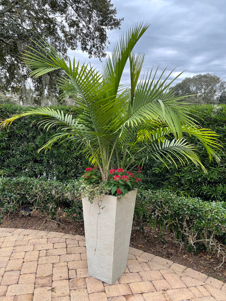 Exterior Planters Design with Advice Consultation