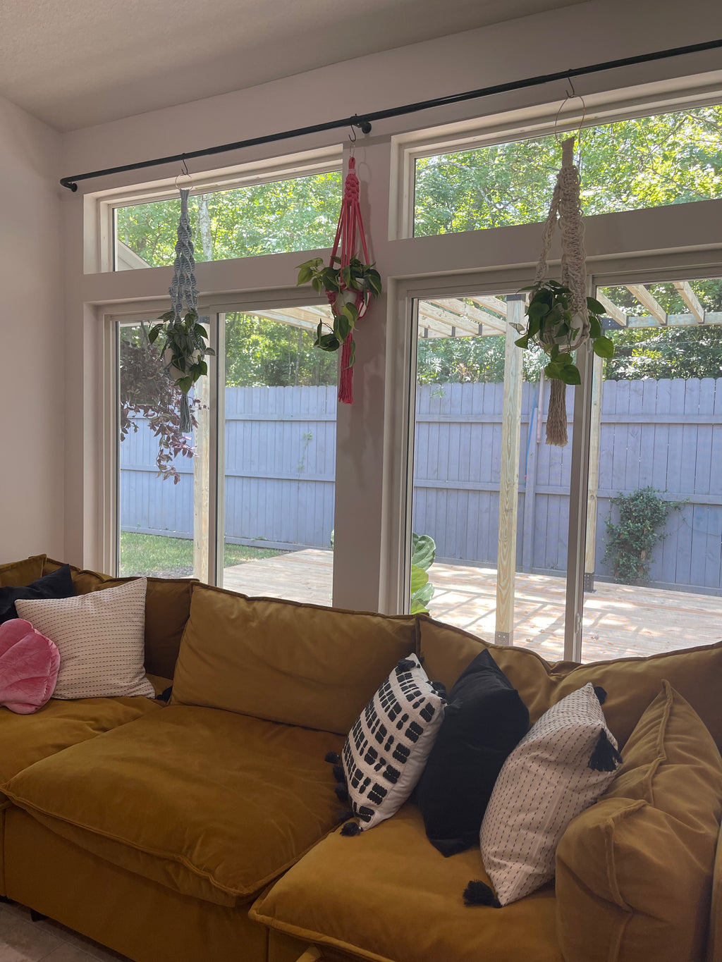 Interior Plant Styling Consultation