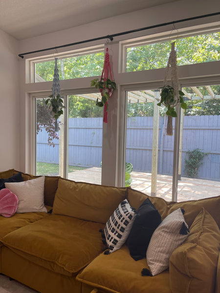 Plant Styling Advice Consultation