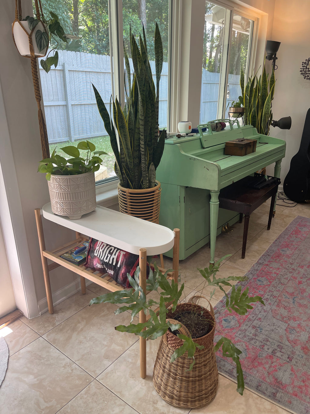 Interior Plant Styling Consultation