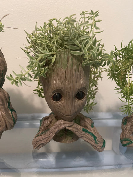 Groot Planters