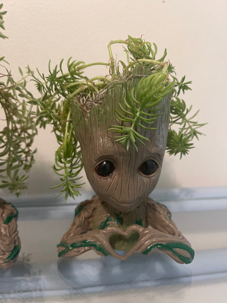 Groot Planters