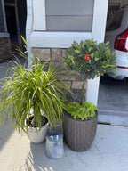 Custom Planter Consultation
