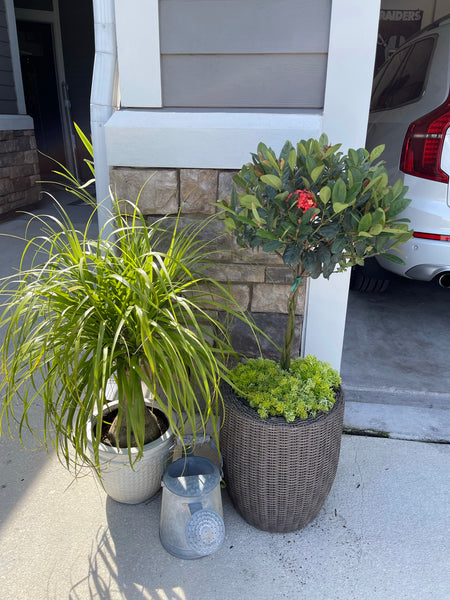 Exterior Planters Design with Advice Consultation