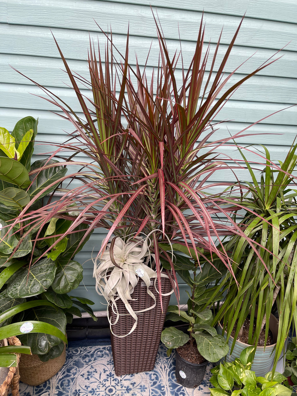 Custom Planter Consultation