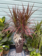 Custom Planter Consultation