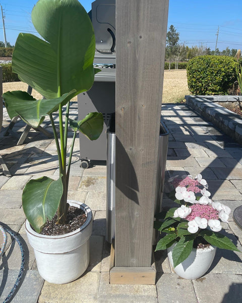 Exterior Planters Design with Advice Consultation