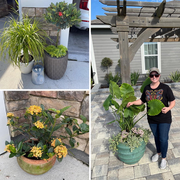 Exterior Planters Design with Advice Consultation