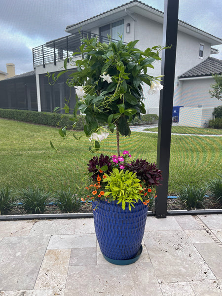Exterior Planters Design with Advice Consultation