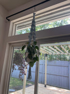Interior Plant Styling Consultation