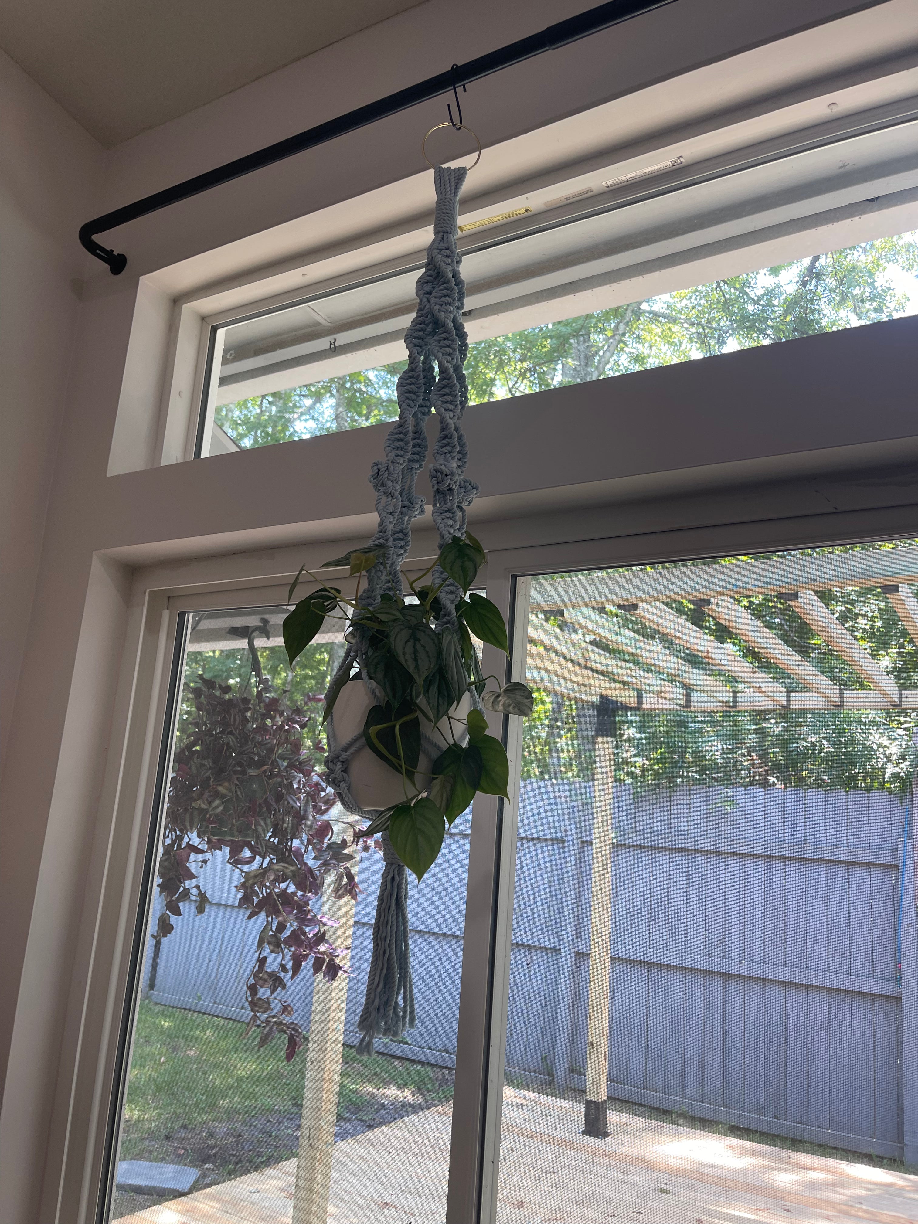 Interior Plant Styling Consultation