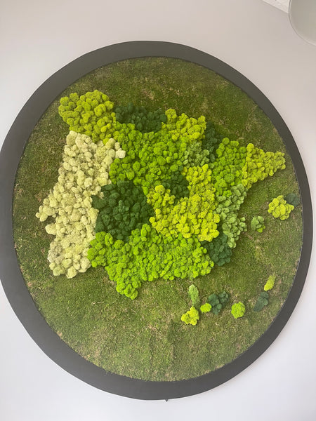 Moss Wall Creation Consultation