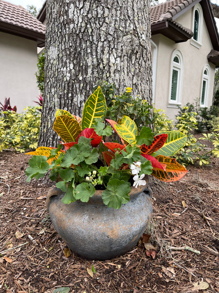 Exterior Planters Design with Advice Consultation