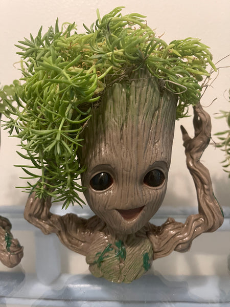 Groot Planters