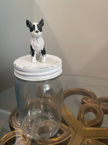 Boston Terrier Mason Jar or Airplant Terrarium