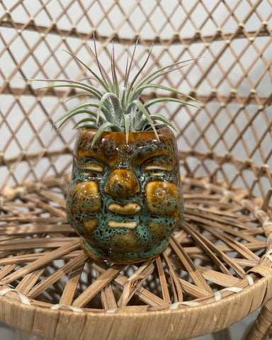 Mini Buddha Head Planter