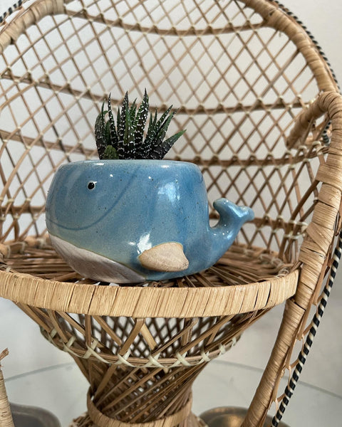 Blue whale planter