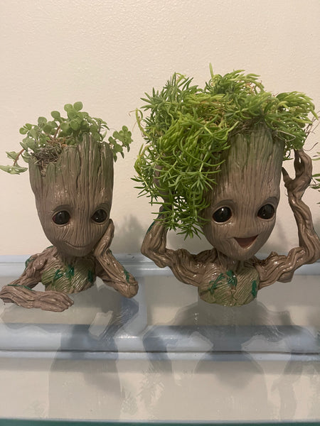 Groot Planters