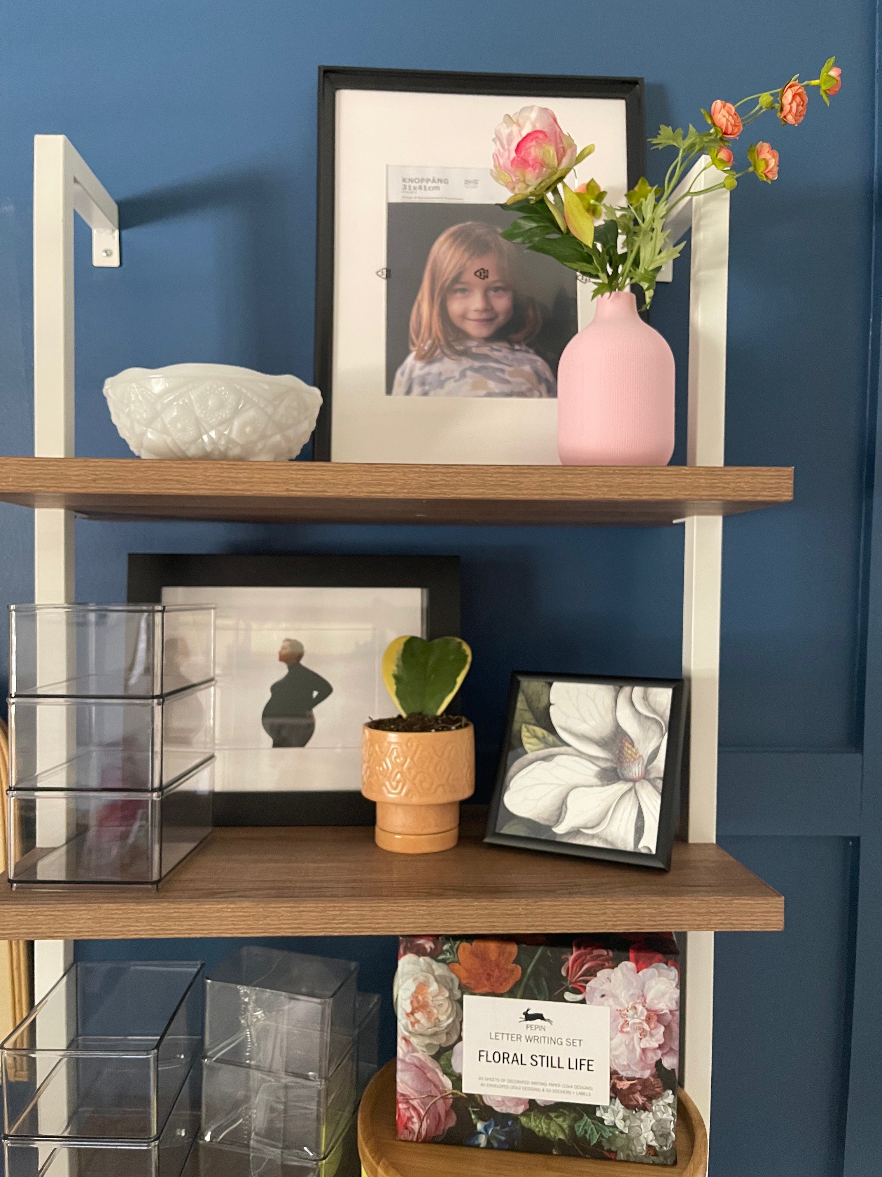 Interior Plant Styling Consultation