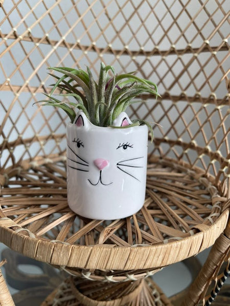 Mini Cat Planter