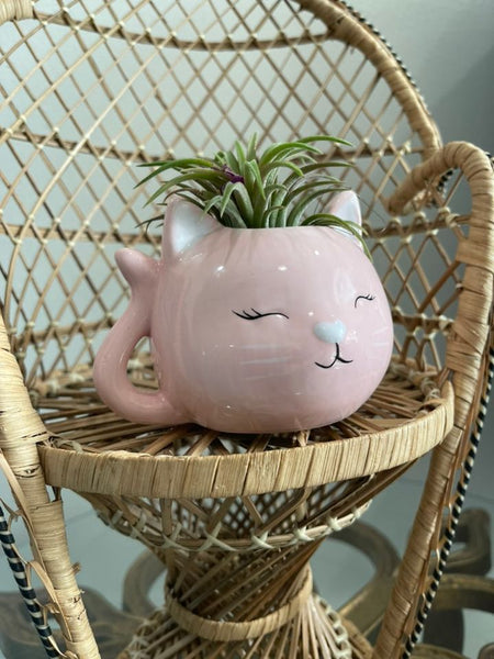 Mini Pink Cat Planter
