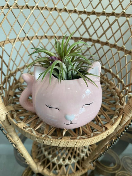 Mini Pink Cat Planter