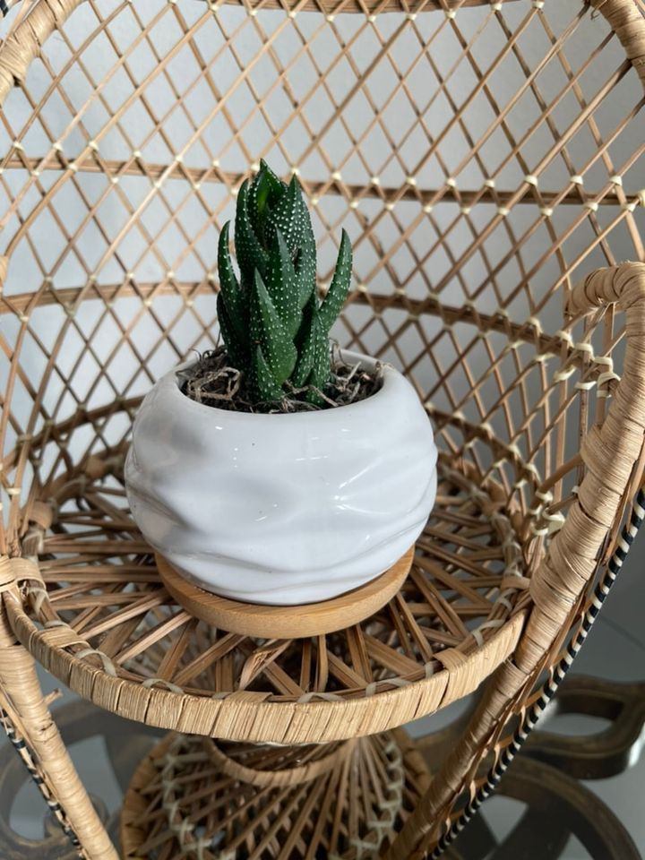 White Wave Planter with Bamboo Saucer